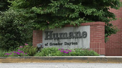 Humane society dayton ohio - The Humane Society of Greater Dayton is a no-kill shelter and proud to be the oldest animal welfare agency in the Miami Valley. Since 1902, they have been working tirelessly to protect the animals ...